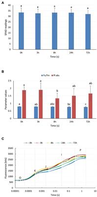 Transcriptome Analysis Revealed a Cold Stress-Responsive Transcription Factor, PaDREB1A, in Plumbago auriculata That Can Confer Cold Tolerance in Transgenic Arabidopsis thaliana